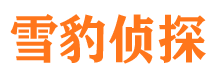 绿春侦探公司